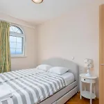 Pet Friendly In Dramalj