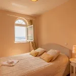 Pet Friendly In